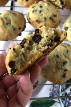 a hand holding a chocolate chip cookie in front of some muffins on a cooling rack