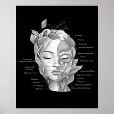 Face Anatomy Facial Muscles Med Spa Decor Med Spa Decor, Massage Room Decor, Facial Room, Spa Art, Relaxing Decor, Esthetician Room Decor, Face Anatomy, Reflexology Chart, Esthetician Room