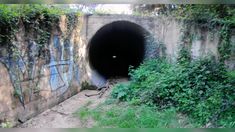 there is a dark tunnel with graffiti on the walls and grass growing in front of it