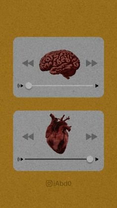 an image of the human heart and brain with arrows pointing to it's left side