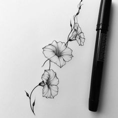 Morning Glory Tattoo Art Kit Big Simple Flower Tattoo, Morning Glory Rib Tattoo, Morning Glory Back Tattoo, Dainty Morning Glory Tattoo, Morning Glory Arm Tattoo, Morning Glory Tattoo Black And White, Morning Glory Fine Line Tattoo, Soft Floral Tattoo, Dawn Tattoo Ideas