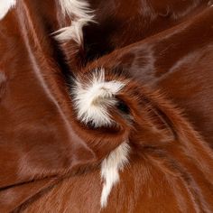 a brown and white animal fur texture