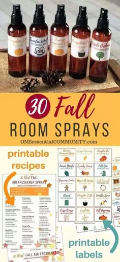 Fall Room Spray, Homemade Room Spray, Room Spray Recipe, Fall Essential Oils, Homemade Air Freshener, Fall Room, Diy Air Freshener, Essential Oil Spray