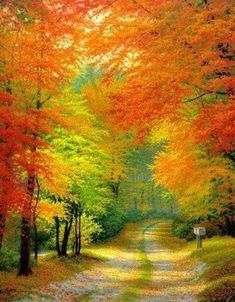 an oil painting of a road surrounded by colorful trees