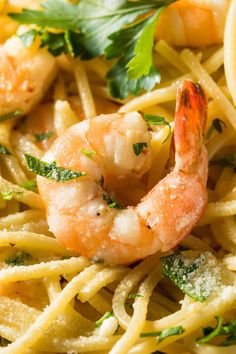 pasta with shrimp and parsley on top