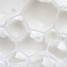 close up view of the inside of a honeycomb