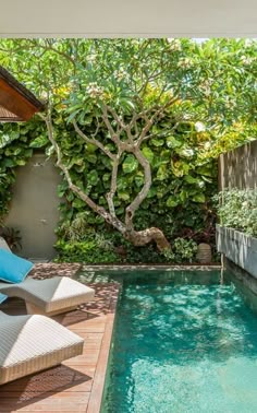 an outdoor swimming pool with lounge chairs next to it