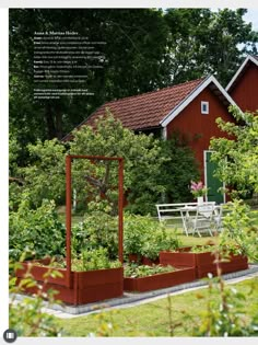 an outdoor garden with lots of plants in the foreground and a red house in the background