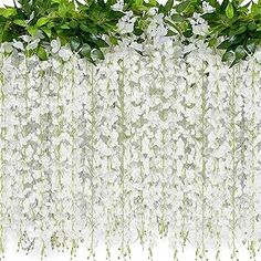 white flowers and green leaves are hanging from the ceiling