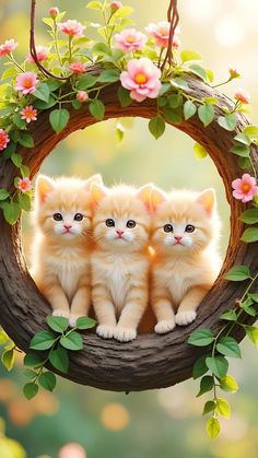 three kittens are sitting in a wreath with flowers