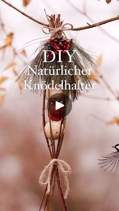 the cover of diy nattifiche kindredehathe, with an image of two birds in flight