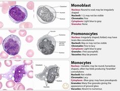 an image of different types of organ tissue