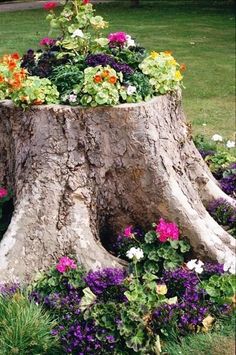 a large tree stump with flowers growing out of it's sides in a garden