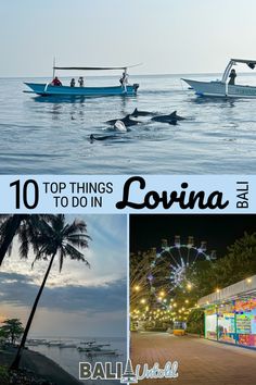 the top things to do in lovina, philippines