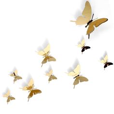 a group of butterflies flying through the air with shadows on it's back side