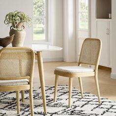 two chairs sitting on top of a rug next to a table with a potted plant