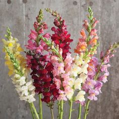 a vase filled with lots of colorful flowers on top of a wooden table next to a wall