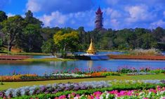 a beautiful garden with colorful flowers and a clock tower in the background