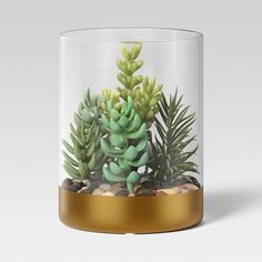 a glass vase filled with plants and rocks