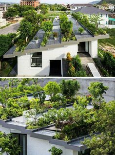 two pictures side by side with plants growing on the roof