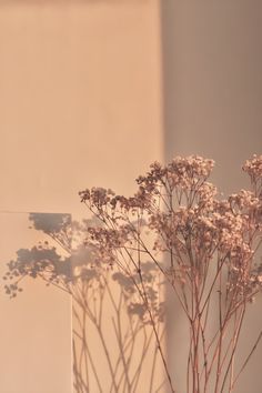 some flowers are in a glass vase on a table next to a wall and a mirror