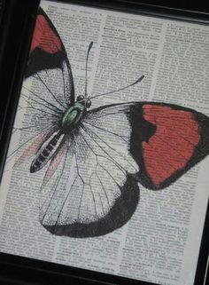 a red and black butterfly sitting on top of an old book page in a frame