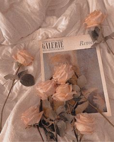 some pink roses are laying on a white sheet and there is a magazine in front of them