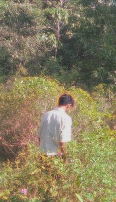 a man standing in the middle of a lush green forest filled with lots of trees