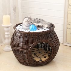 a cat laying in a wicker basket with a blue ball on it's side