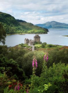 a castle sitting on top of a lush green hillside next to a body of water