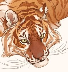 a drawing of a tiger's head with green eyes and brown fur, on a white background