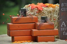 a pile of bricks sitting on top of a wooden table next to a sign that says scarecrow pumpkin patch