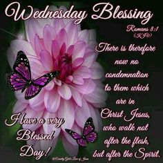 a pink flower with two butterflies on it and the words wednesday blessing written in white