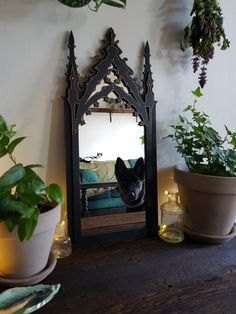 a dog is looking at its reflection in a mirror next to some potted plants