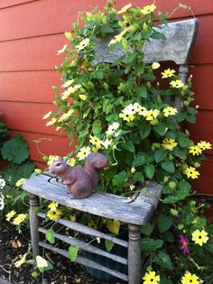 a wooden bench sitting next to a bush with yellow flowers growing on top of it