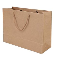 a brown paper shopping bag with handles and string on the handle, isolated against a white background