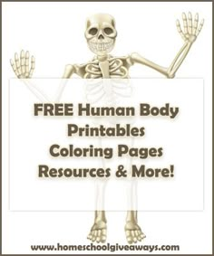 a skeleton holding a sign that says free human body printables coloring pages resources & more