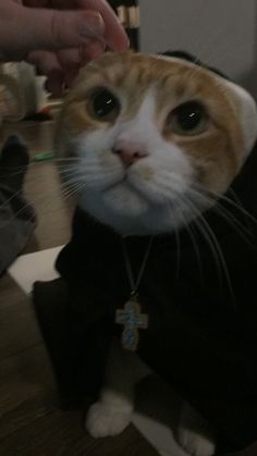 an orange and white cat wearing a black shirt with a cross on it's chest