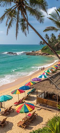 the beach is lined with umbrellas and chairs