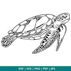 a drawing of a sea turtle with the words dxf svg i png