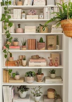 a white bookcase filled with lots of books and plants