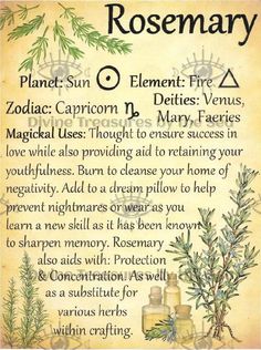 Planetary Correspondences, Magickal Plants, Herbalist Witch, Herbal Journal, Witchcraft Spirituality, Herb Healing, Herb Magick, Witch Types, Kitchen Magick