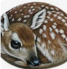 a painting of a fawn laying down on top of a white surface with brown spots