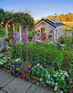 the garden is full of colorful flowers and plants