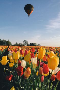 a field full of colorful flowers with a hot air balloon in the sky