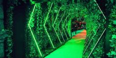 a green tunnel with plants growing on the walls