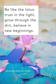 a pink water lily floating on top of a pond with the quote be like the lotus trust in the light, grow through the dirt, believe in new beginnings