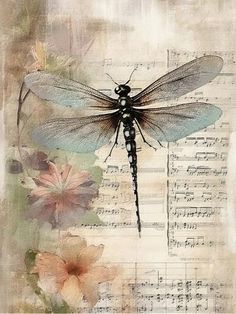 a dragonfly sitting on top of music sheets with flowers in the foreground and sheet music behind it