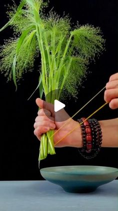 a person holding a plant in front of a bowl with chopsticks on it