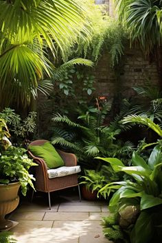 a chair sitting in the middle of a garden filled with lots of green plants and greenery